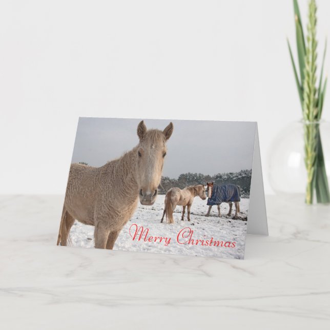 Merry Christmas Holiday Card (Front)