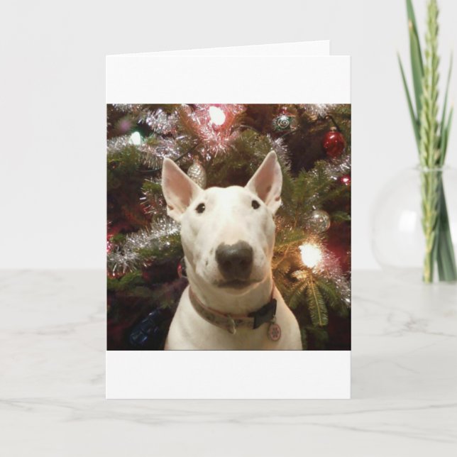 merry christmas holiday card (Front)