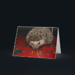 Merry Christmas! Holiday Card<br><div class="desc">Let this little guy help protect those Christmas greetings!</div>