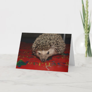 Merry Christmas! Holiday Card