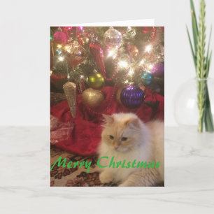 Merry Christmas Holiday Card
