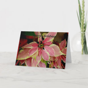 Merry Christmas Holiday Card