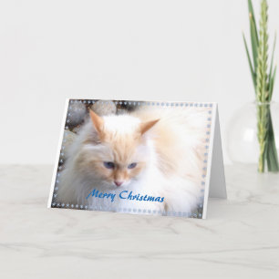 Merry Christmas Holiday Card