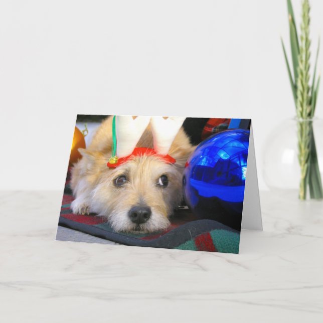 Merry Christmas Holiday Card (Front)