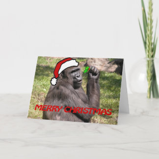 Merry Christmas! Holiday Card
