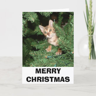 MERRY CHRISTMAS HOLIDAY CARD