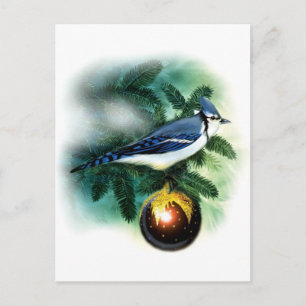 MERRY CHRISTMAS HOLIDAY POSTCARD