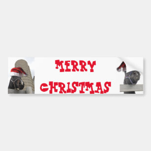 Merry Christmas Horse with Santa Hat Bumper Sticker