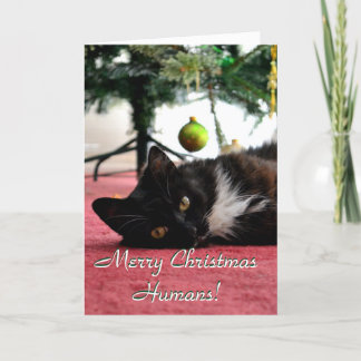 Merry Christmas Humans! Holiday Card