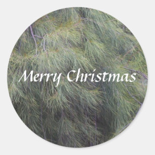 Merry Christmas in the Pines Classic Round Sticker
