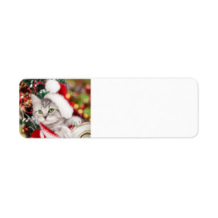 Merry Christmas Kitten Return Address Label