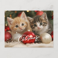 Merry Christmas Kittens and Ornaments