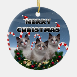Merry Christmas Kittens in Candy Cane Land Ceramic Ornament