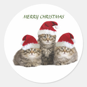 Merry Christmas Kittens Sticker