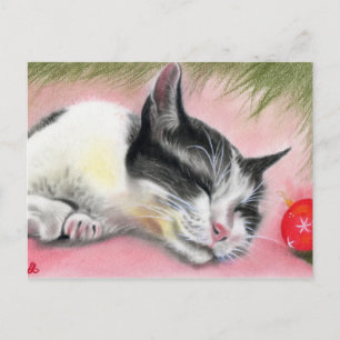Merry Christmas Kitty Cat Postcard