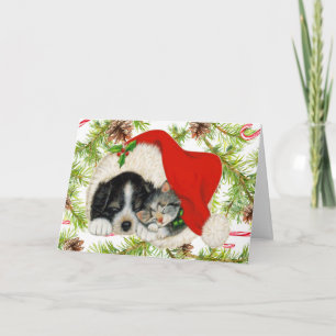 Merry Christmas Kitty Cat Puppy Dog Personalise Holiday Card