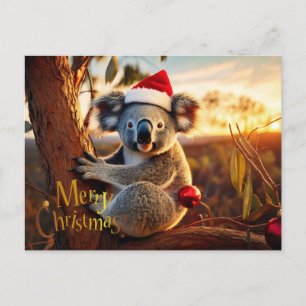 Merry Christmas Koala sitting in Gumtree Holiday Postcard