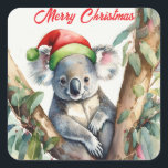 Merry Christmas Koala sitting in Gumtree Square Sticker<br><div class="desc">Australian koala wearing a santa hat sitting in a gumtree.

This furry koala is a native of Australia they are easily recognisable by their stout,  tailless body and large head with round,  fluffy ears and large,  spoon-shaped nose.</div>
