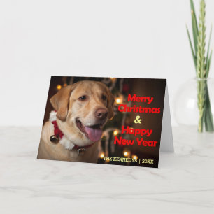 Merry Christmas - Labrador Retriever Bell Collar Holiday Card