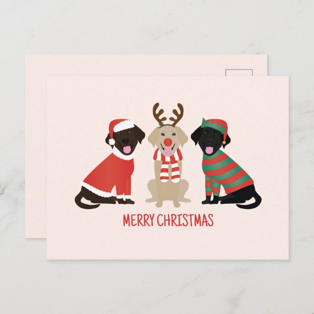 Merry Christmas Labrador Retriever Dogs Postcard (Front/Back)