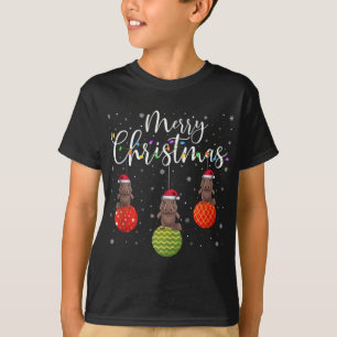 Merry Christmas Lights Santa Hat Platypus Ugly Xma T-Shirt