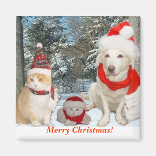 Merry Christmas! Magnet