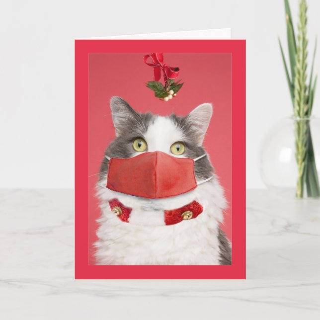 Merry Christmas Mistletoe Cat in Face Mask Humour Holiday Card (Front)
