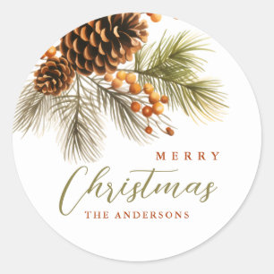 Merry Christmas Mistletoe Round Stickers