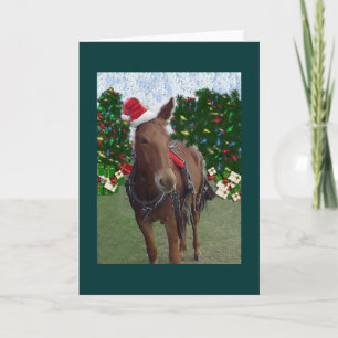Merry Christmas Mule Card