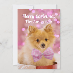 Merry Christmas & Name, Cute Dog or Your Photo  Invitation