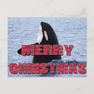 Merry Christmas Orca Whale Spy Hop Holiday Gifts