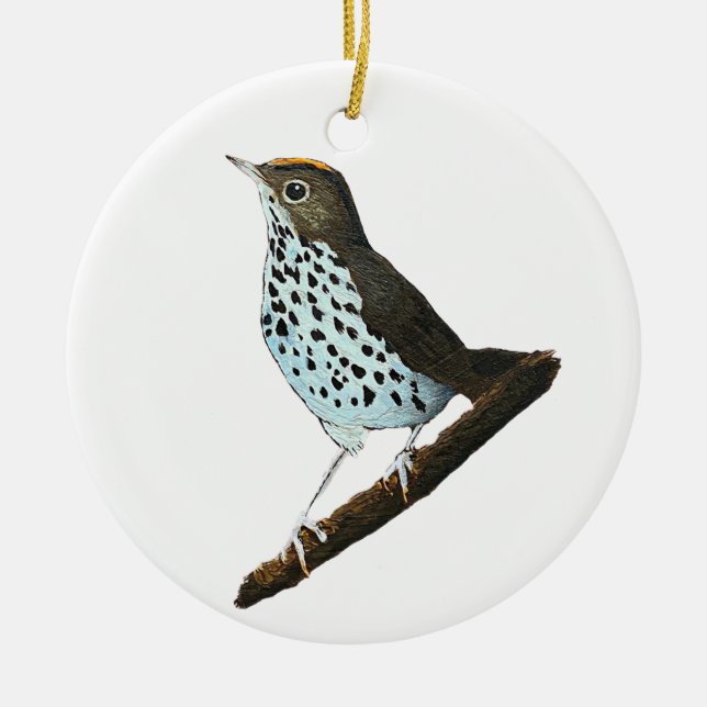 Merry Christmas ~Ovenbird~ Ceramic Ornament (Front)