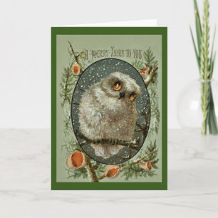 Merry Christmas Owl Holiday Card