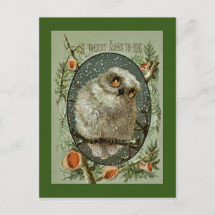 Merry Christmas Owl Holiday Postcard