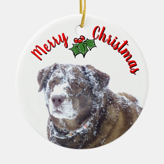  Merry Christmas personalise pet photo template Ceramic Ornament (Front)
