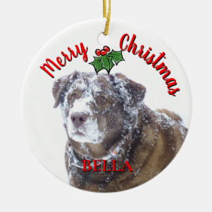  Merry Christmas personalise pet photo template Ceramic Ornament