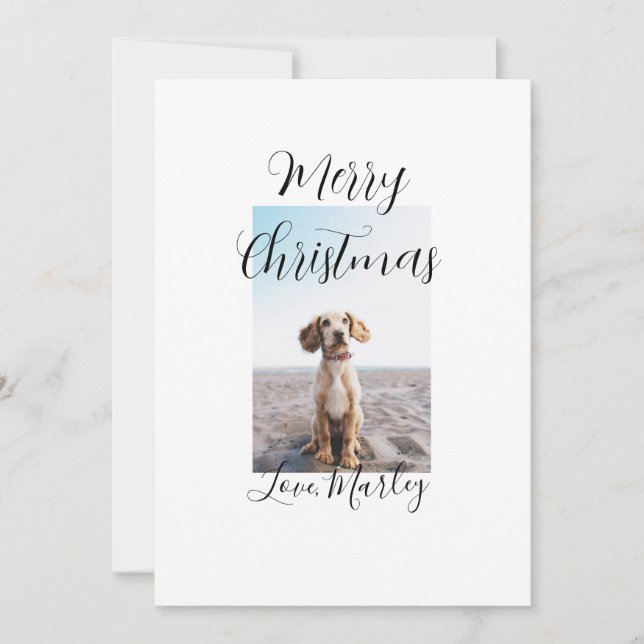 Merry Christmas pet dog cat photo holiday gifts lo Invitation (Front)