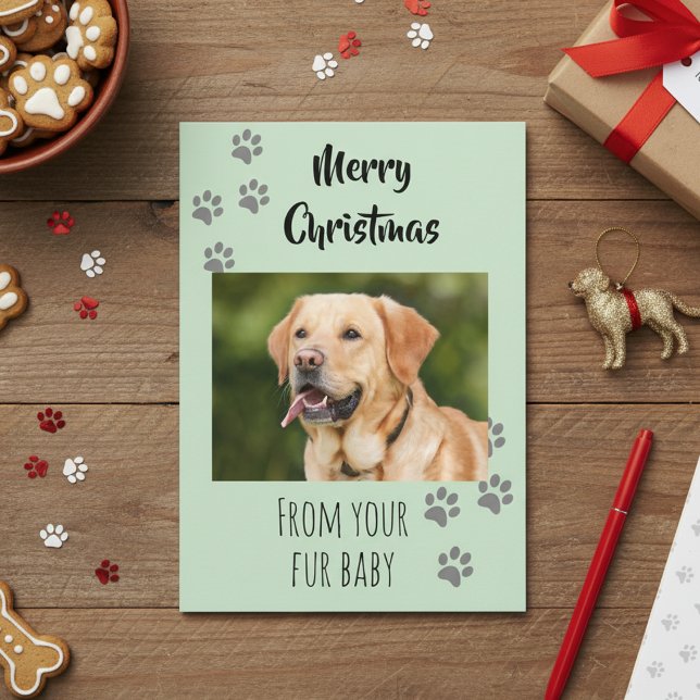 Merry Christmas Photo Dog Cat Pet Fur Baby Card (Creator Uploaded)
