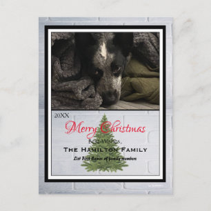 Merry Christmas Photo Postcard - HAMbWG