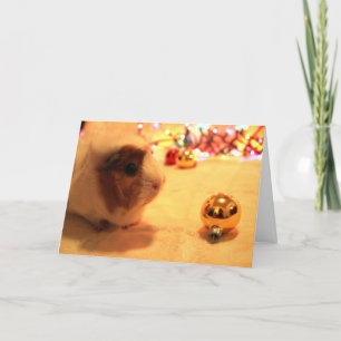 Merry Christmas Pig Holiday Card