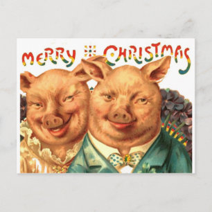 Merry Christmas Pigs Vintage Postcard Art