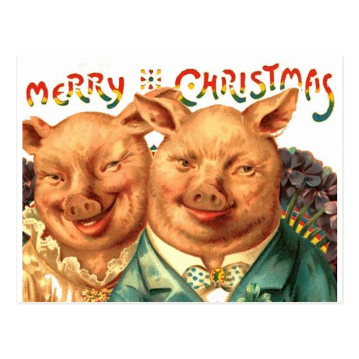 merry_christmas_pigs_vintage_postcard_art-r6d708bf63d584f5fad0cbdcf47da76c0_vgbaq_8byvr_512.jpg