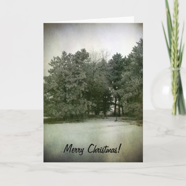 Merry Christmas Pine Trees in the Park Holiday Card (Front)