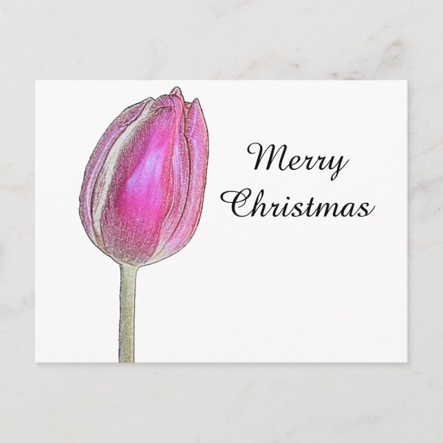 Merry Christmas Pink Tulip Flower Floral Art White Holiday Postcard (Front)