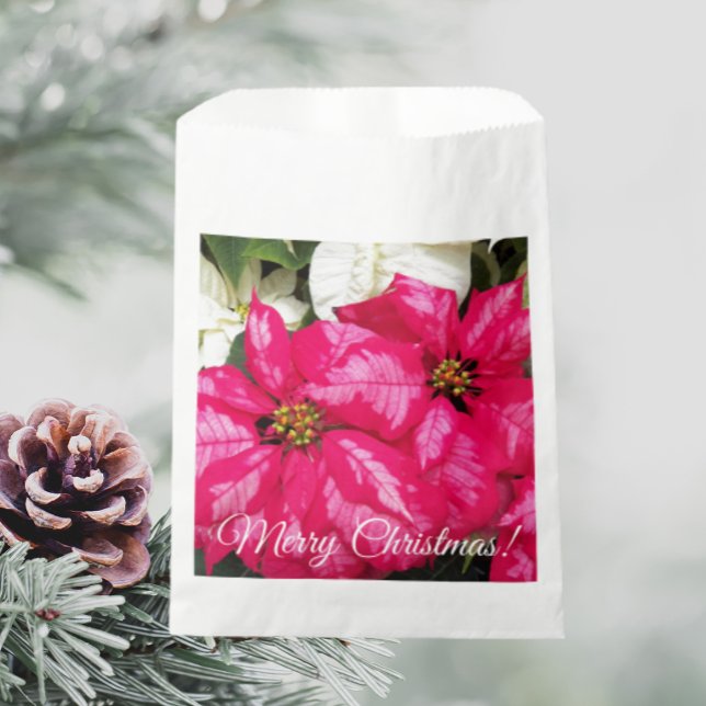Merry Christmas Pink Variegated Poinsettias Floral Favour Bag (In Situ Holiday)