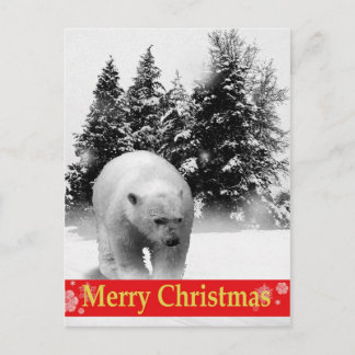 Merry Christmas Polar Bear! Holiday Postcard