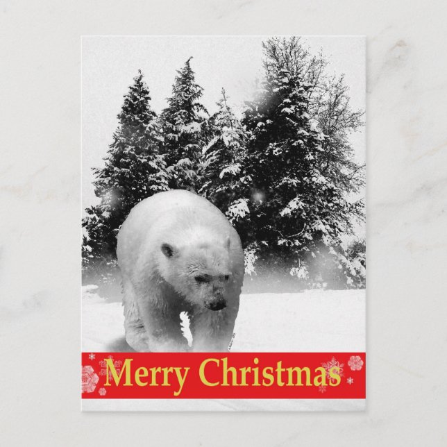 Merry Christmas Polar Bear! Holiday Postcard (Front)