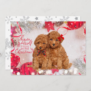 Merry Christmas Poodles Personalized Holiday Card