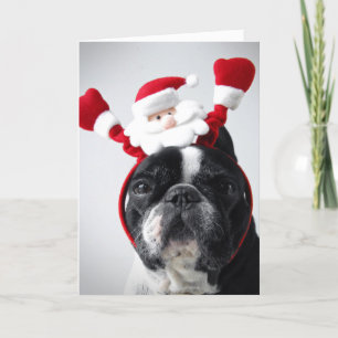 Merry Christmas portrait offrench bulldog Holiday Card