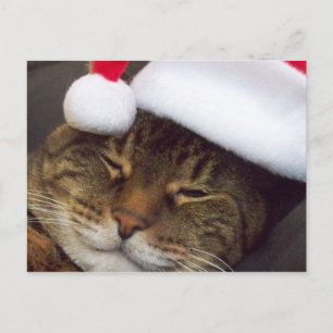 Merry Christmas post card